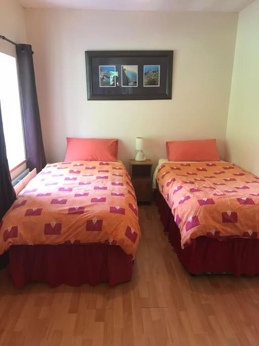 Castlegregory-Seaside 2 Bedroomed Cottage المظهر الخارجي الصورة