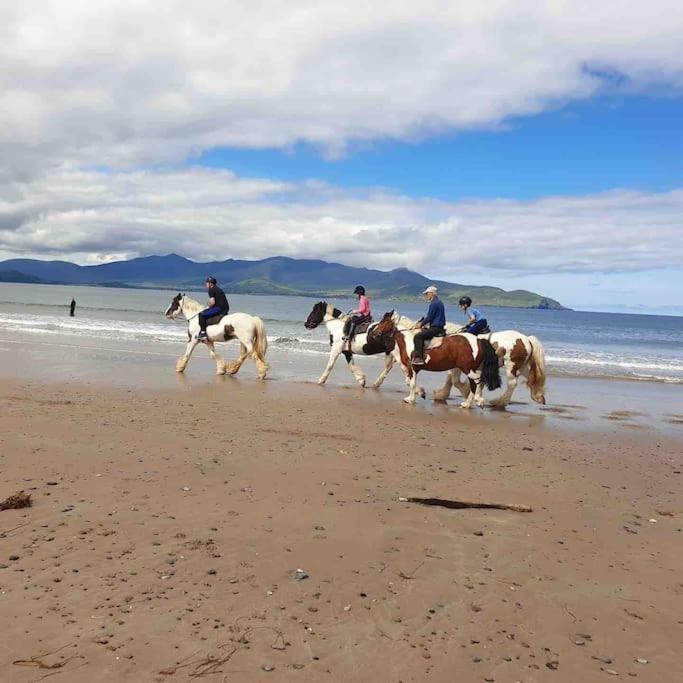 Castlegregory-Seaside 2 Bedroomed Cottage المظهر الخارجي الصورة